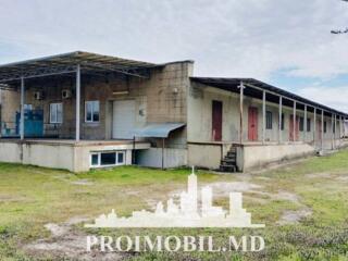 Vă propunem spre vânzare acest spațiu comercial în r. Orhei, ...