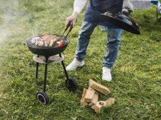 Выезд и обслуживание пикников, мероприятий - повар, гратарщик официант