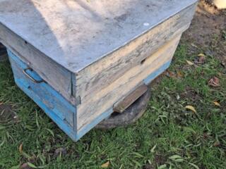 Улей в хорошем состоянии