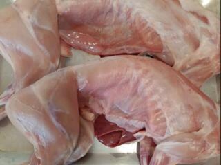 Мясо кролика