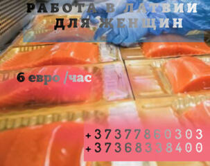 Требуются Женщины на рыбное производство, работа на линии. Латвия