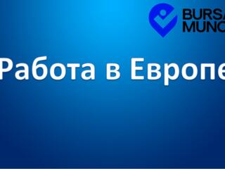Работа в странах Европы.