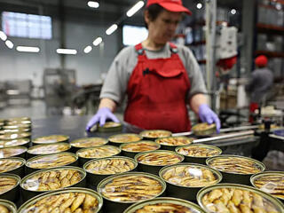 Работа на консервном заводе.