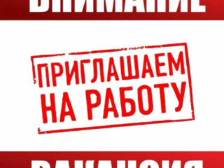 Оформление документов на основании ЕС паспорта!