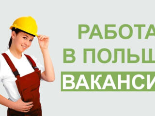 Европа ждёт сотрудников