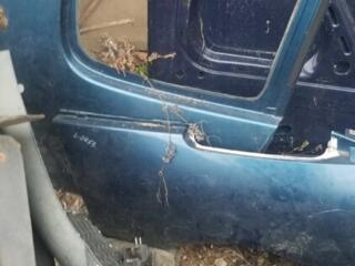 Запчасти кузова Рено сценик, эспейс