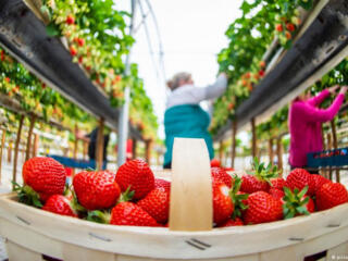 ПРИЯТНЫЙ БОНУС при оформлении!