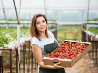 Германия - сезонные работы. Вакансия открыта.