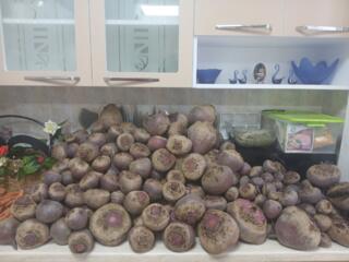 ПРОДАМ СВЕКЛУ