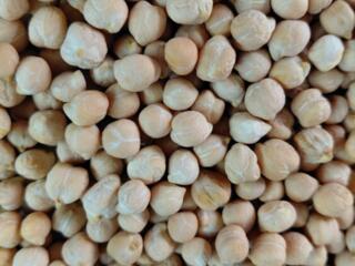 Продам Нагут, Гречиха, Эспарцет, ячмень