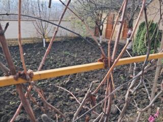 curățenie grădină, ogradă, vilă, săpături manual, motobloc