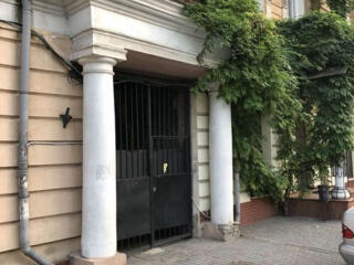 Бельгийка в Центре города