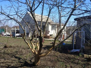 Предлагается к продаже дом/дача в Теплодаре. Капитальный дом стены ...