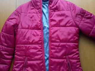 Scurta SISLEV ITALIA