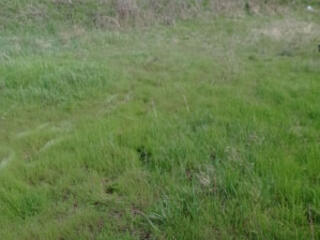 Продам участок в Усатово.