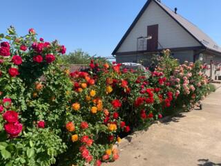 Предлагается к продаже уютный, одноэтажный частный дом в ближайшем ...