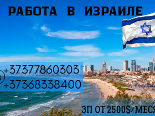 РАБОТА В ИЗРАИЛЕ