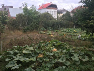 Продам 6 соток земли возле моря, Черноморка