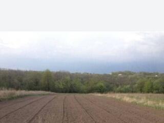 В продаже участок 25 соток земли. Участок правильной формы. Находится 