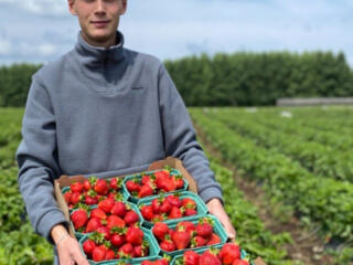 Сезонная работа в Германии: сбор клубники.
