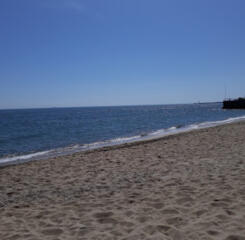 29 соток на побережье Черного моря Дача Ковалевского, прямой вид на ..