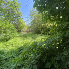 Продам фасадный участок на Люстдорфской дороге