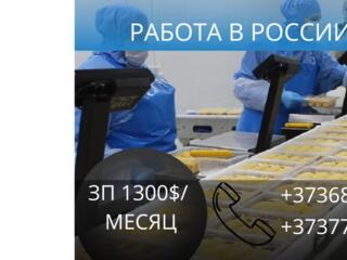 Работа в РОССИИ. Город ЗВЕНИГОРОД (ЗП 1300 $ / месяц)
