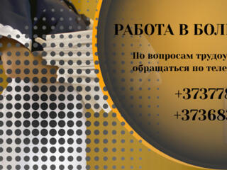 РАБОТА В БОЛГАРИИ ПО БИО ПАСПОРТУ