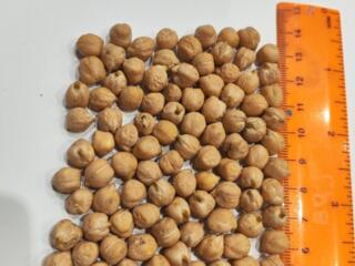 Продается Нут