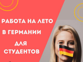 Ты студент и хочешь зарабатывать в Европе этим летом?