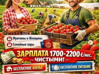 СРОЧНЫЙ НАБОР ‼️ Германия 1800 до 2200 евро