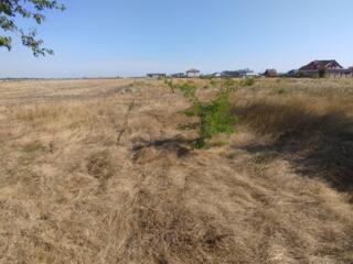 Продажа земельного участка в ОГСТ Маяк. Расположен участок на ...