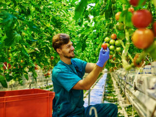 Бельгия открыта!