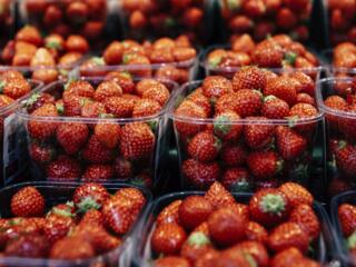 Зарплата 2000 евро, работа в Германии на сборе клубники.