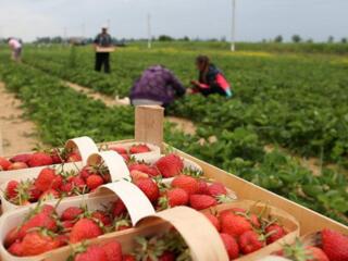 Легальная работа в Германии!