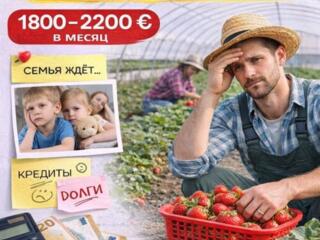 ‼️ СРОЧНЫЙ НАБОР ОТКРЫТ ‼️ГЕРМАНИЯ