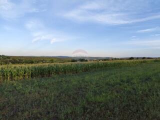 Teren cu destinaţie grădină com. Budești, Mun. Chişinău