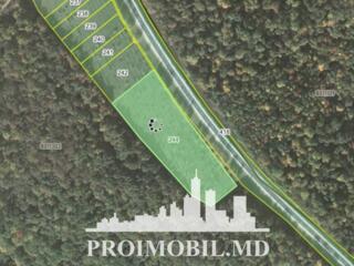 S pre vânzare se oferă teren cu destinație agricolă, situat la prima .