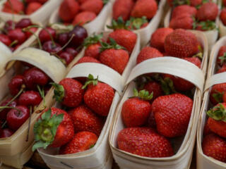 Работа по сбору клубники в Германии! 2000 евро! Биопаспорт!