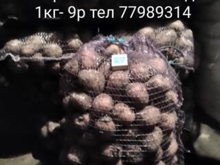 Продам картошку