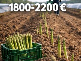 ГЕРМАНИЯ 1800–2200 евро в месяц