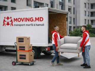 Relocare birouri Chișinău| Servicii profesionale relocare firme|