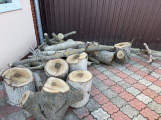 Продам дрова.