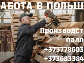 РАБОТА В ПОЛЬШЕ ПО БИО ПАСПОРТУ