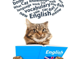 Репетитор по английскому языку