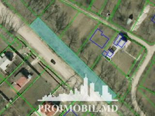 Spre vânzare se oferă teren pomicol, situat în Dumbrava.Suprafața ...