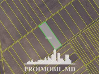 S pre vânzare se oferă teren agricol, situat în Colonița. Suprafața ..