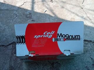 Пружина передняя Рено Сценик дизель.