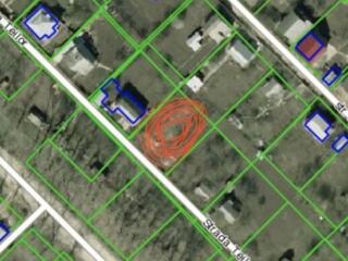 IP Mugurel, Dumbrava, Chisinau