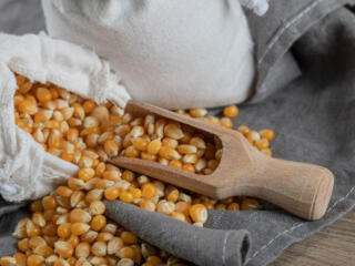 Продажа кукурузы